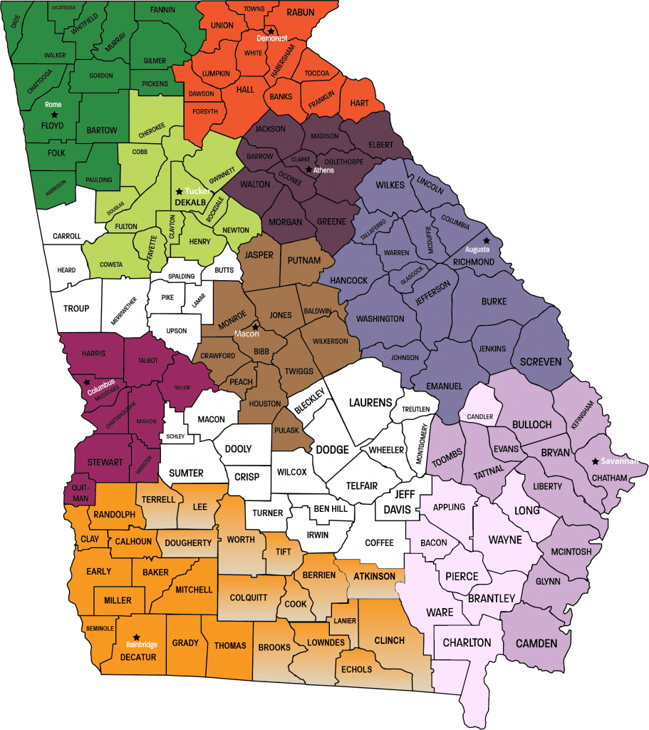 Statewide Independent Living Council of Georgia
