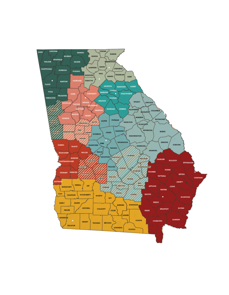 Statewide Independent Living Council of Georgia