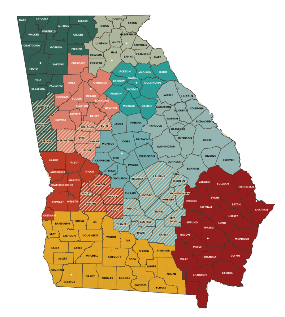 Statewide Independent Living Council of Georgia